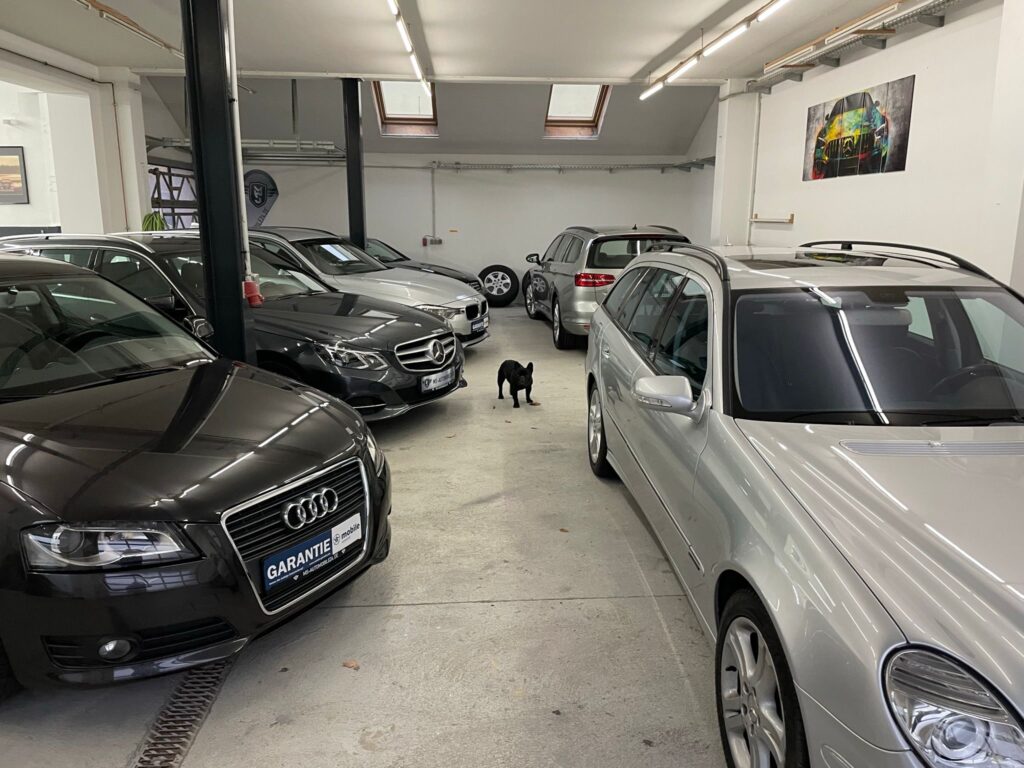 Lager, der Hund passt auf